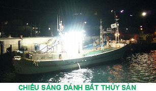 Chiếu sáng đánh bắt thủy sản - Đèn LED HT LIGHT LEVEL - Công Ty TNHH Thiết Bị Điện Tuấn Lê